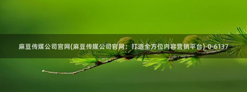 麻豆传媒直播官网三三:麻豆传媒公司官网(麻豆传媒公司官网:打造全方位内容营销平台)